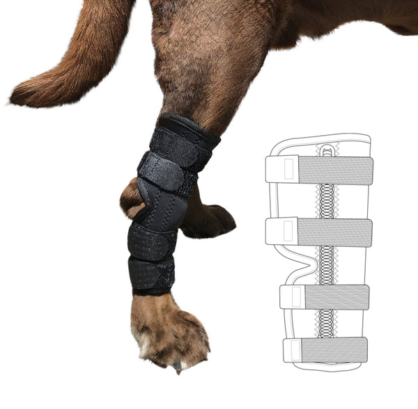 Dog Leg Brace For Tarsal Support  Tarsal Osteoarthritis Treatment
